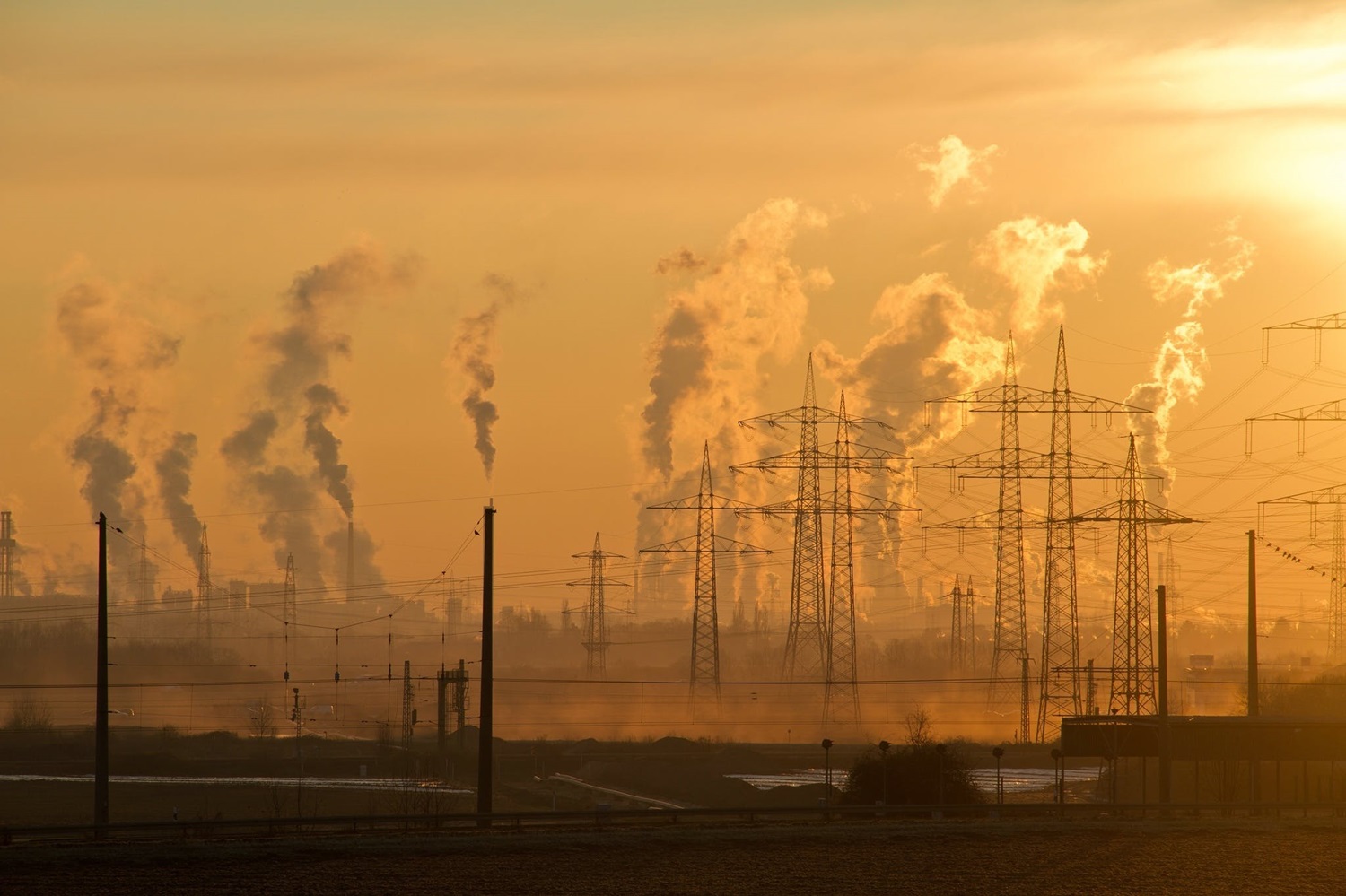 Tvarumo ekspertai: kompensuoti CO₂ nepakanka – metas siekti nulinių emisijų