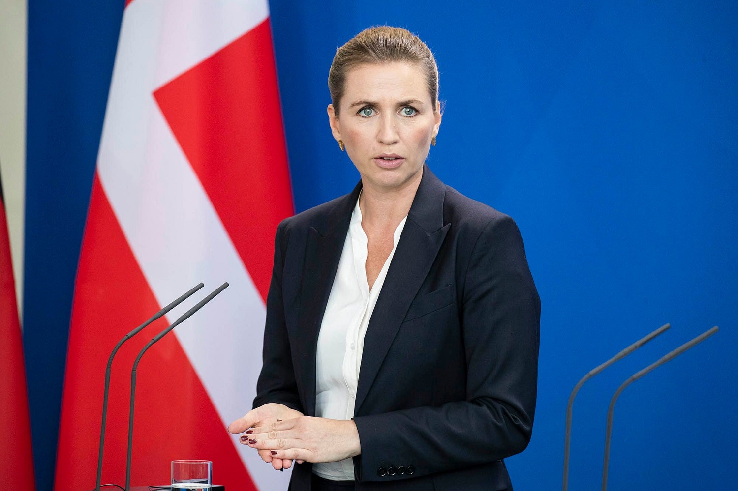 Danija perduos Ukrainai visą savo artileriją Danija perduos Ukrainai visą savo artileriją