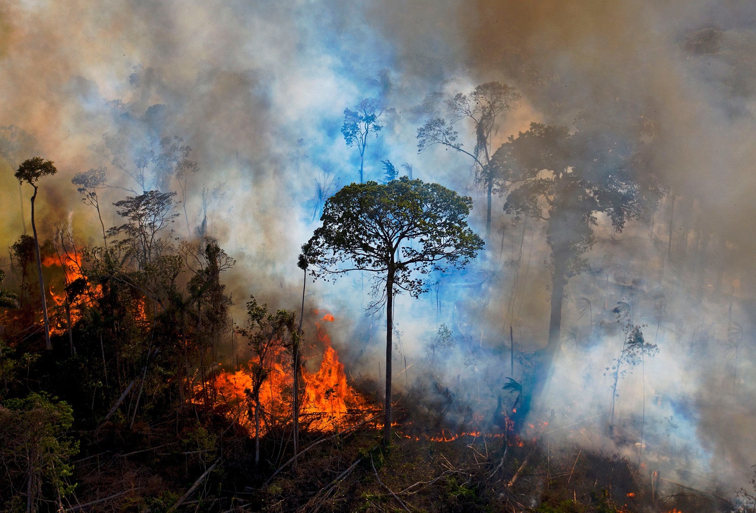 Brazilijos Amazonijoje – rekordinis gaisrų skaičius
