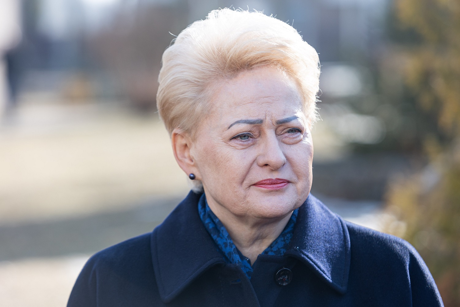 D. Grybauskaitė apie trečius metus Ukrainoje besitęsiantį karą: tai didele dalimi yra Vakarų kaltė