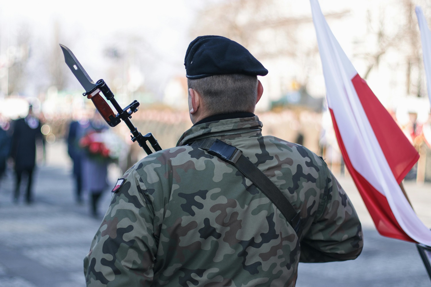 Lenkija nori, kadpusė jos kariuomenės ginklų būtų nuperkama šalies viduje  