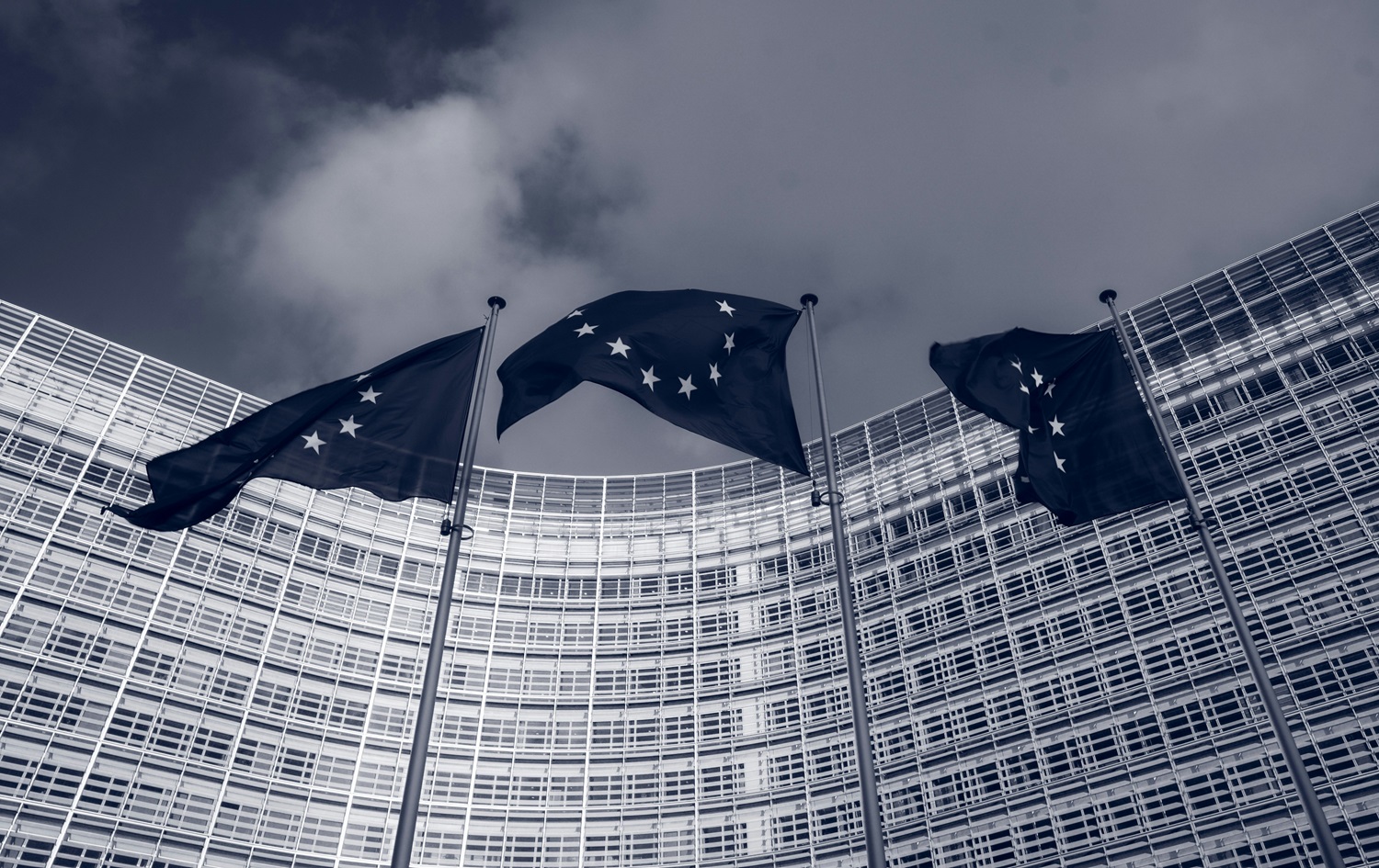 Politologai perspėja dėl radikalių jėgų Europoje populiarėjimo: ypač reikšmingi bus Vokietijos ir Prancūzijos sprendimai Politologai perspėja dėl radikalių jėgų Europoje populiarėjimo: ypač reikšmingi bus Vokietijos ir Prancūzijos sprendimai