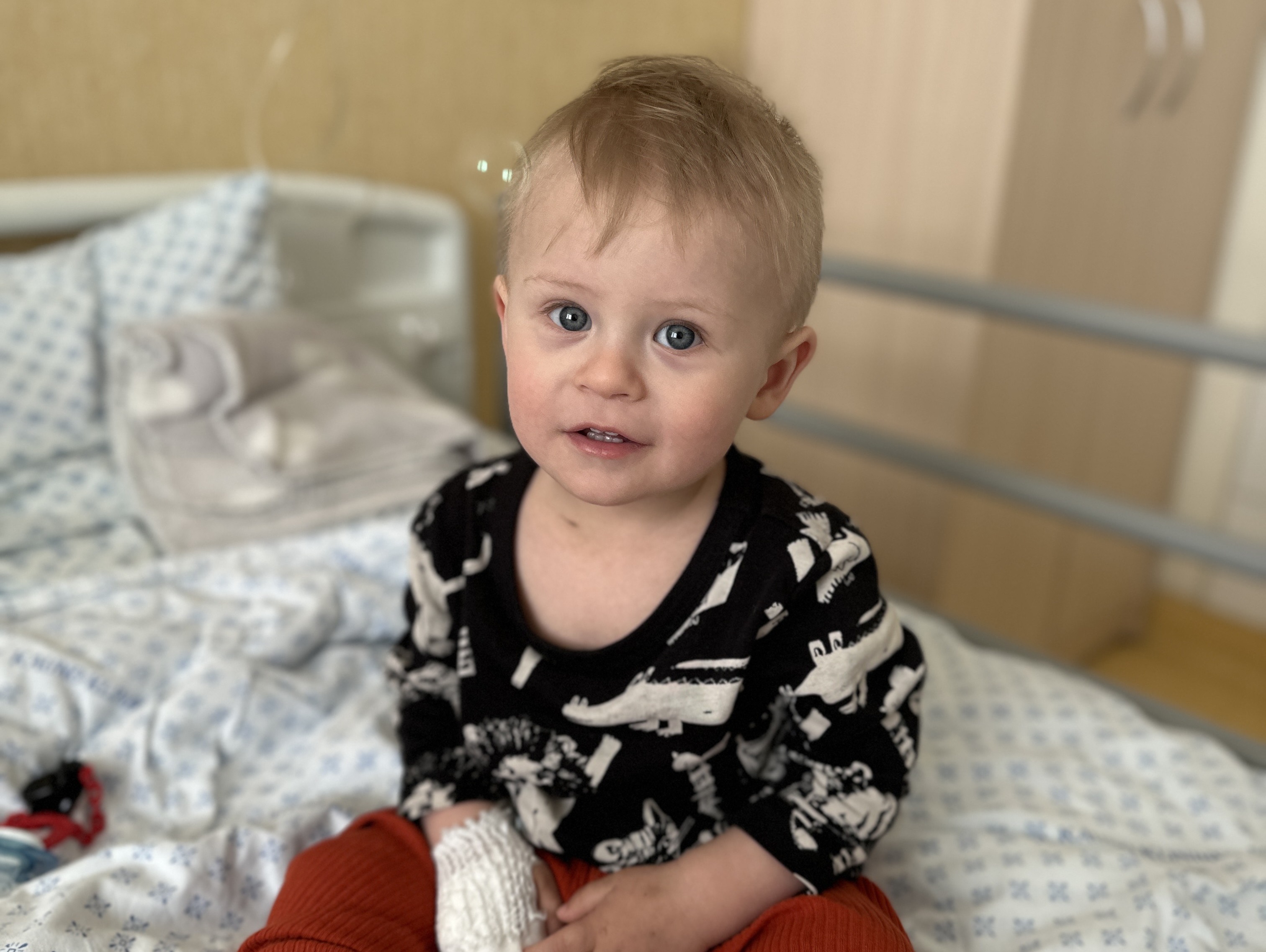 Akies vėžiu susirgusio 1,5 m. Adomo mama: „Aš norėčiau pabusti iš šio baisaus sapno“