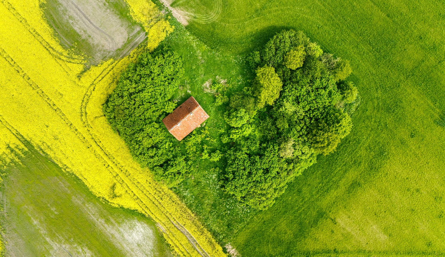 Būsto paieškos regionuose: žmonės ieško ramybės, saugumo ir gamtos