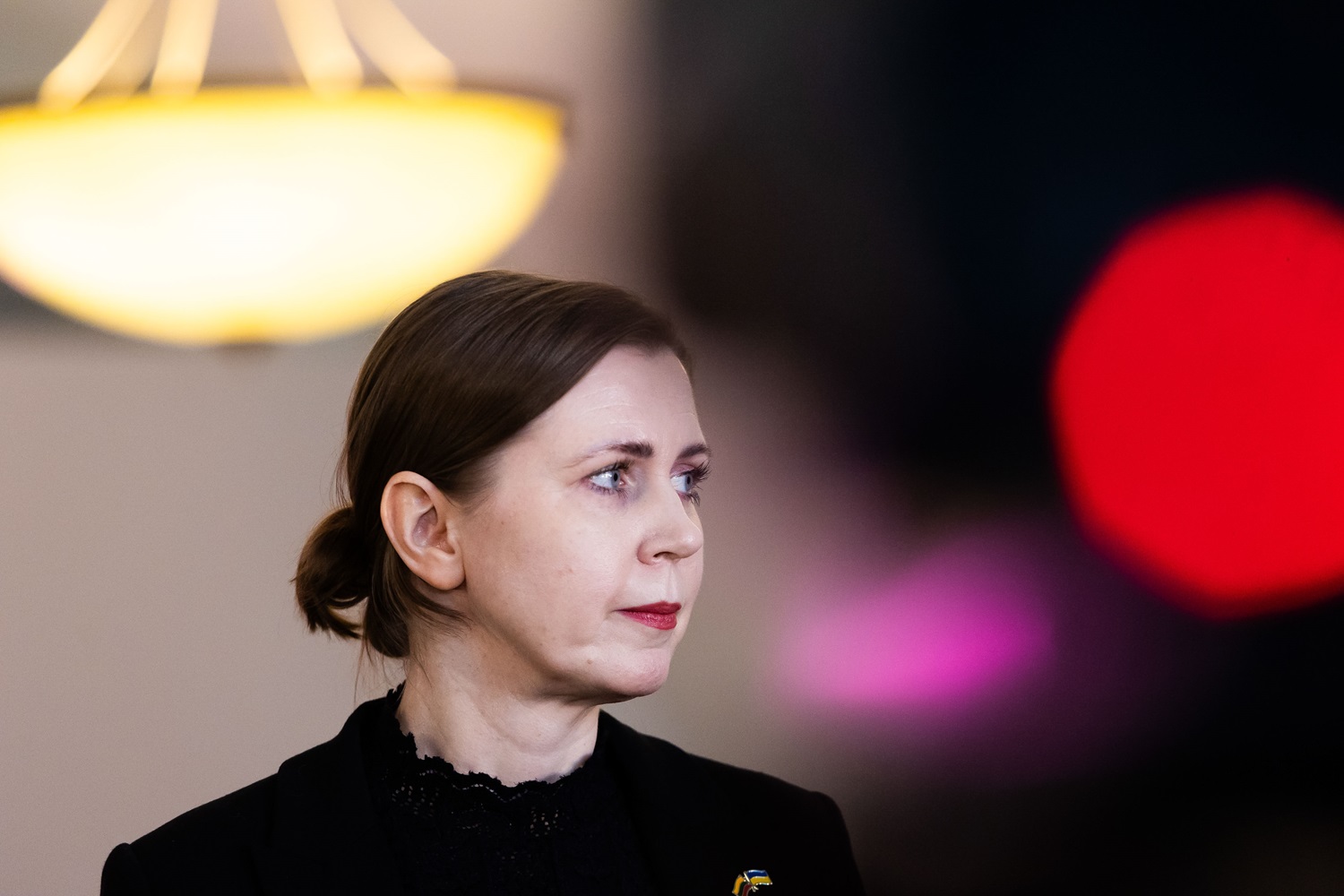 D. Šakalienė pritaria prezidentui: nesupriešinkime pasirinkimo tarp socialinio ir šalies saugumo
