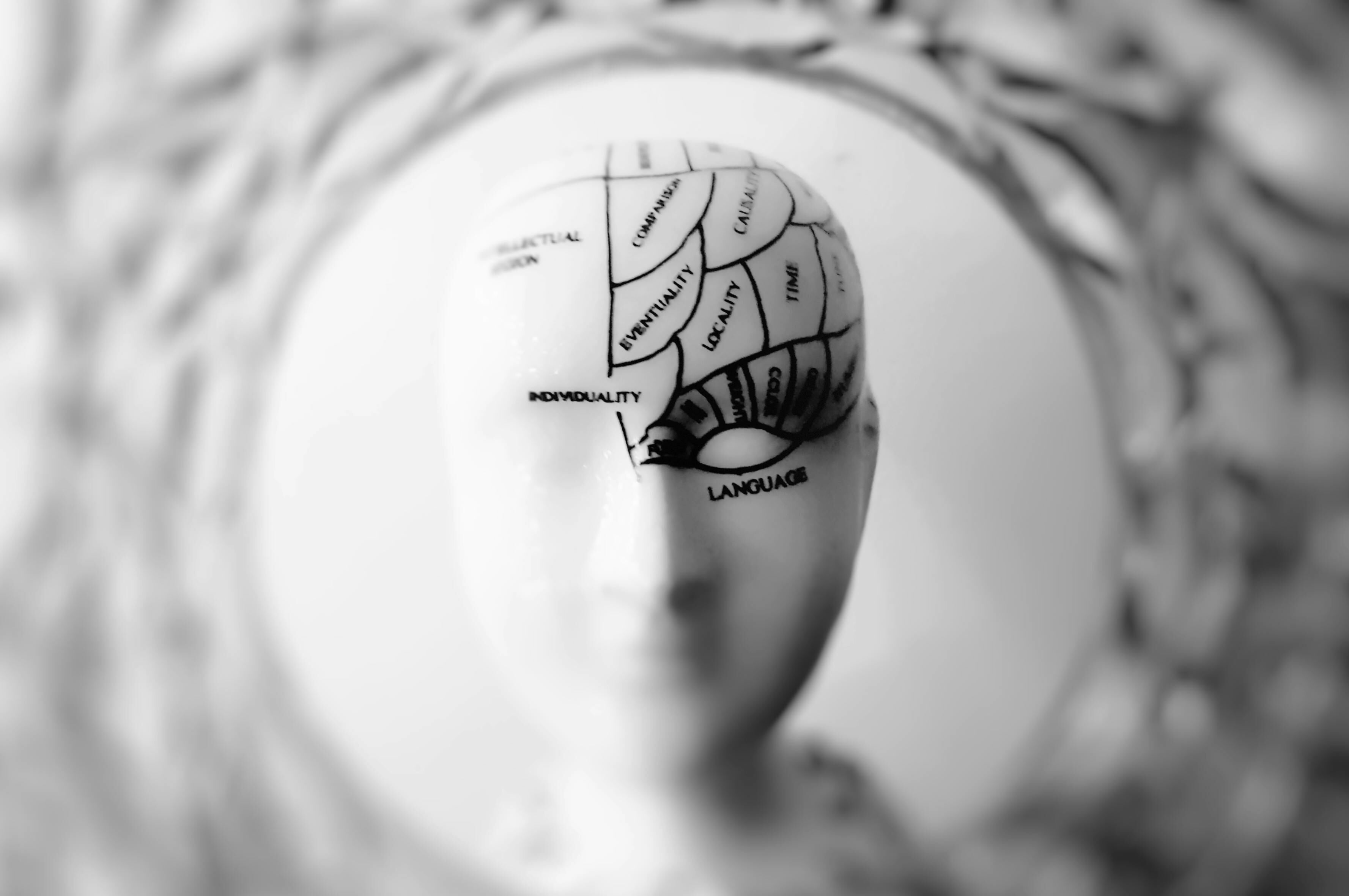 Neuromokslo atradimai: kaip veikia smegenys, kai ilsisi