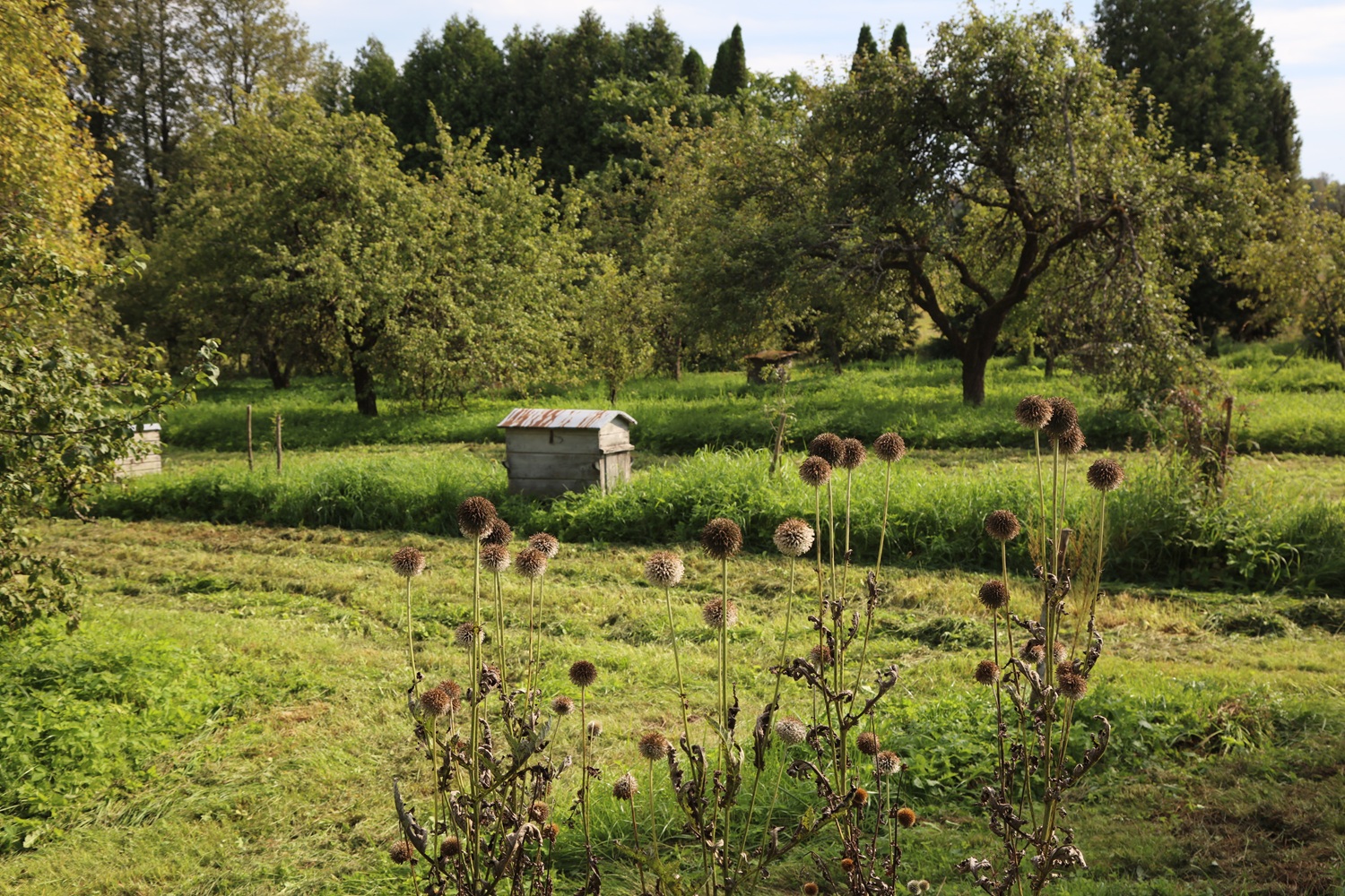 Vienu ritmu su gamta