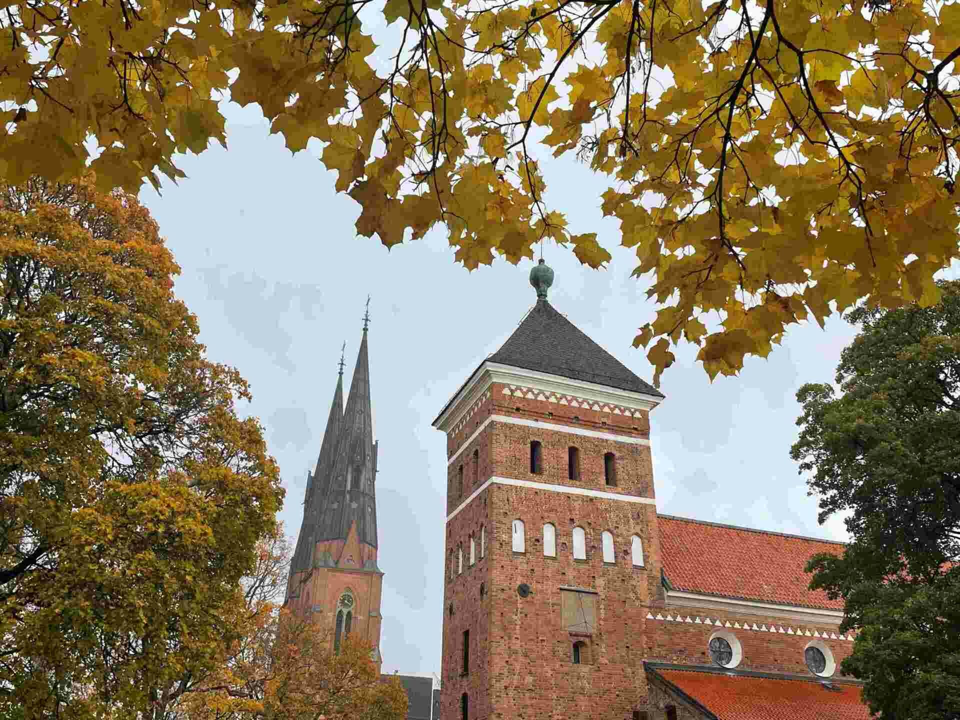 Nuo Jogailaičių iki šių dienų: lietuviškas paveldas Švedijoje – naujame žemėlapyje