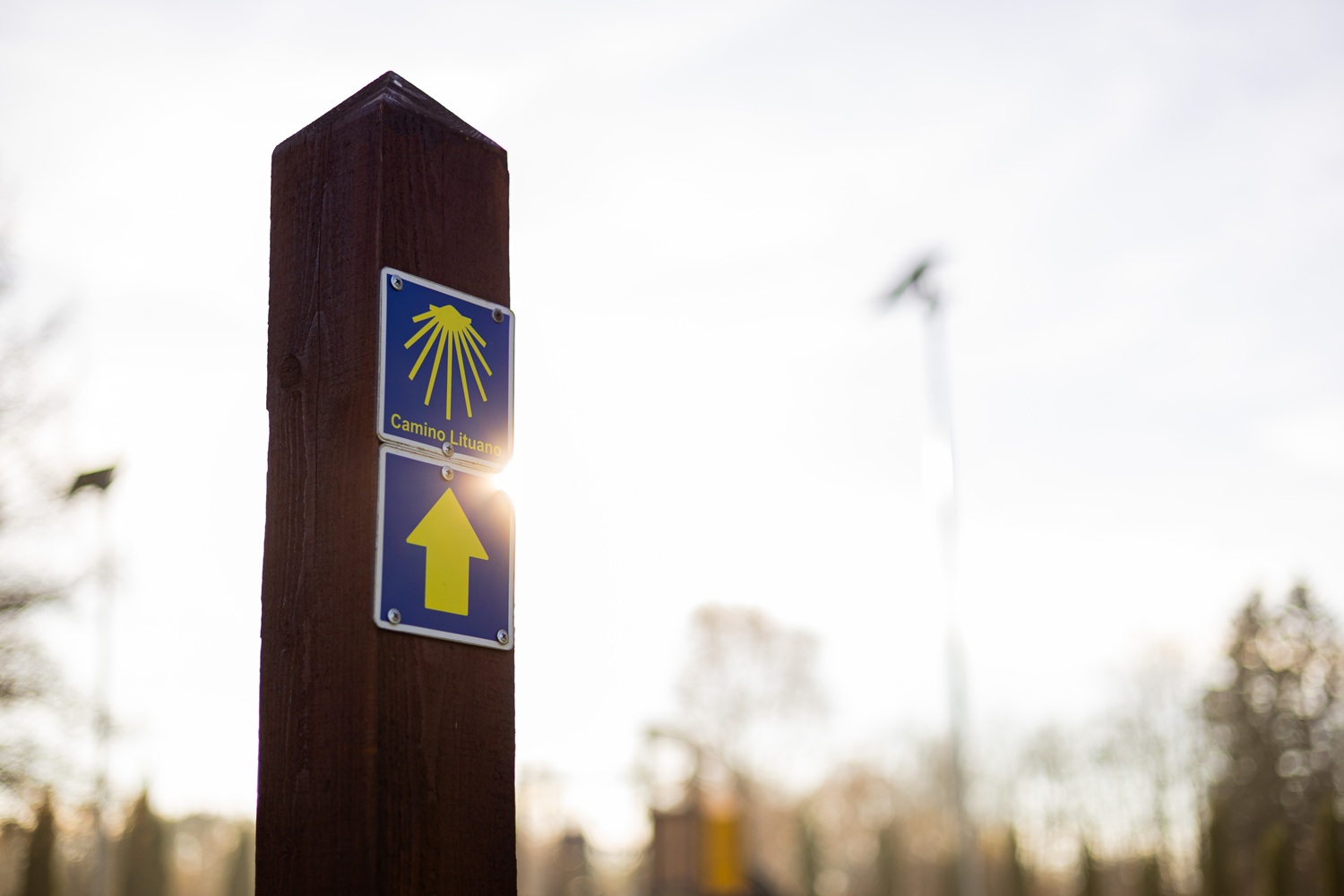 Prie Mažeikių vėjo parko auga Pikelių ir Lūšės gyvenvietės