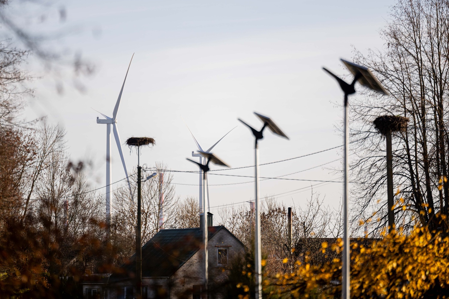 Prie Mažeikių vėjo parko auga Pikelių ir Lūšės gyvenvietės
