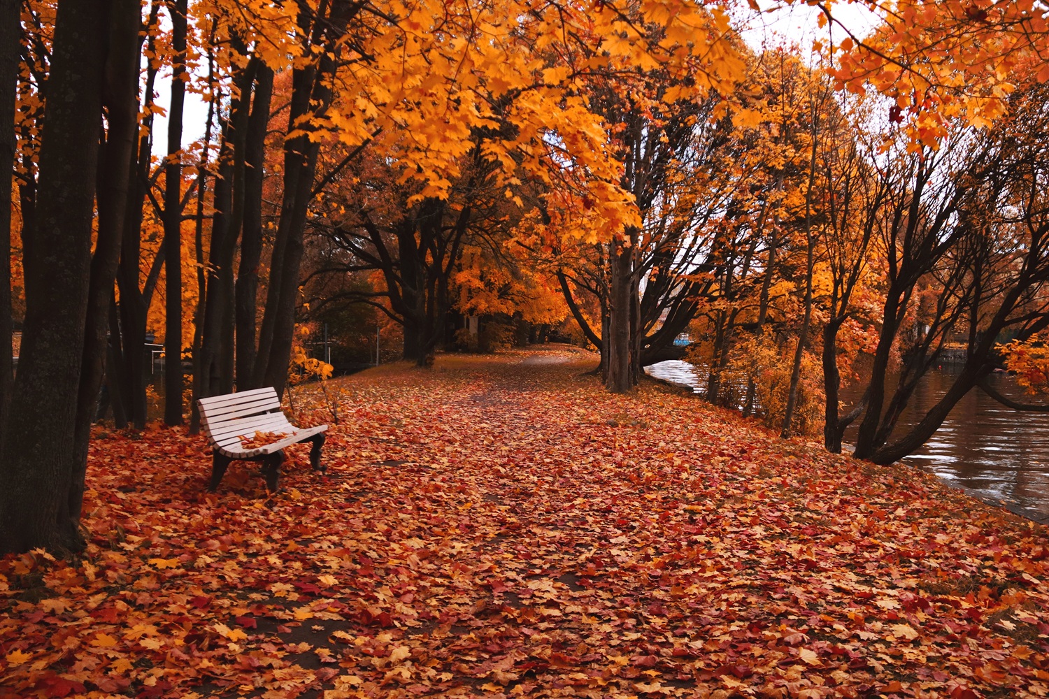 Augalai turi teisę gyventi taip, kaip jiems reikia
