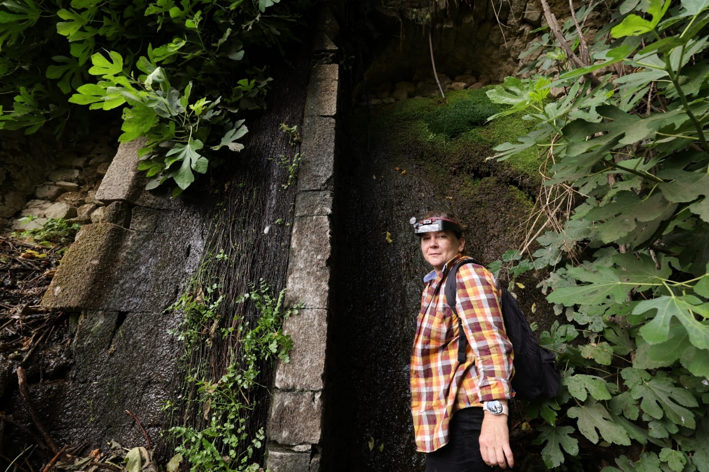 Vabzdžiai ir žmonės – neatskiriami