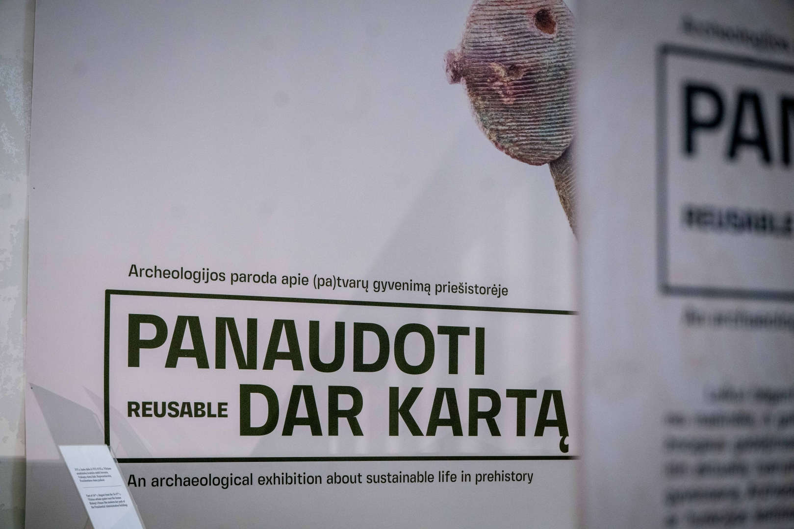 Ne mada, o būtinybė: priešistorės pamokos šiandienos tvarumui