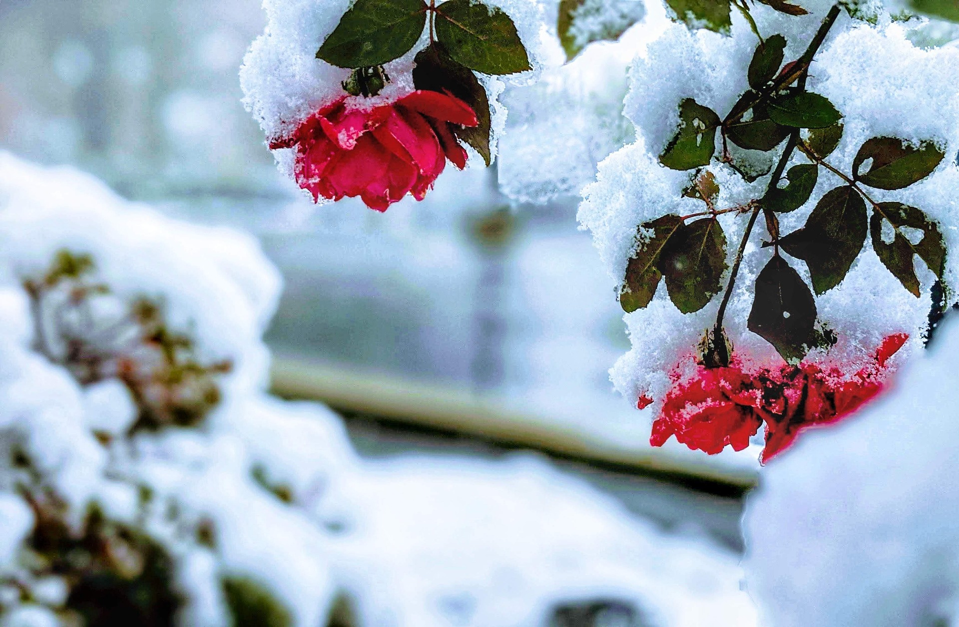 Artėjant atšilimui įspėja dėl galimų potvynių: kaip jiems pasiruošti