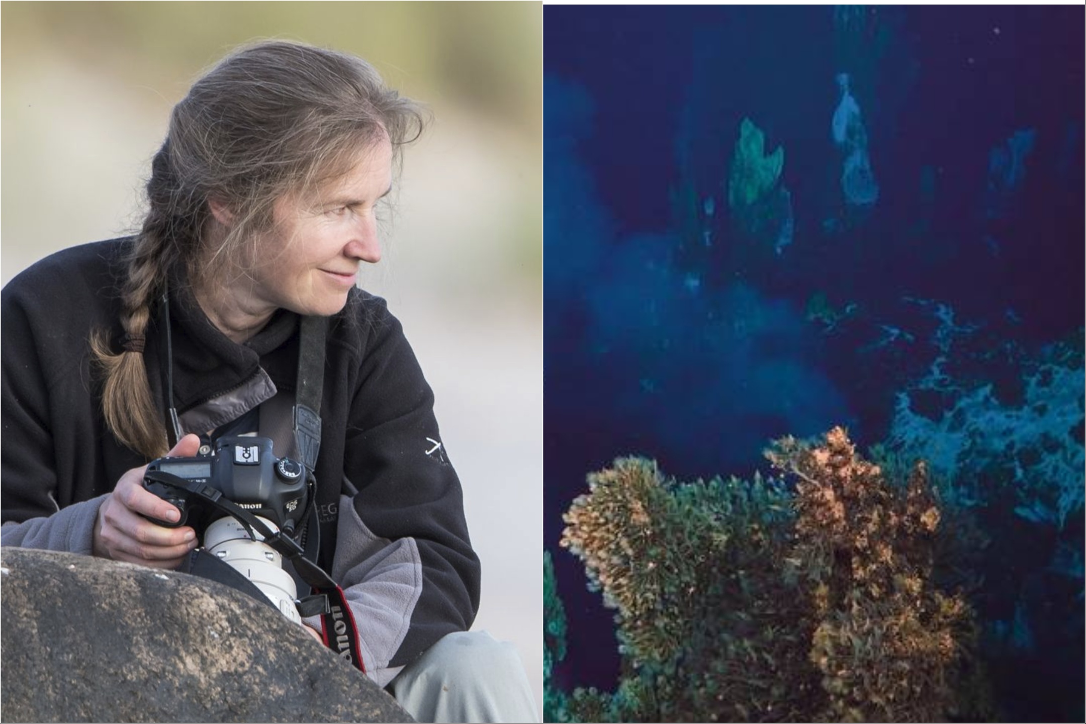 Jūrų tyrėja: žingeidus žmogus naudodamasis gamtos resursais jaučia pagarbą ir dėkingumą