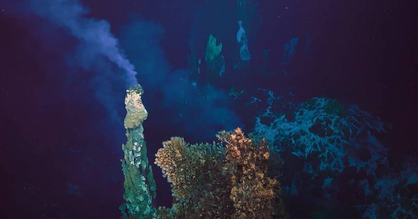 Jūrų tyrėja: žingeidus žmogus naudodamasis gamtos resursais jaučia pagarbą ir dėkingumą