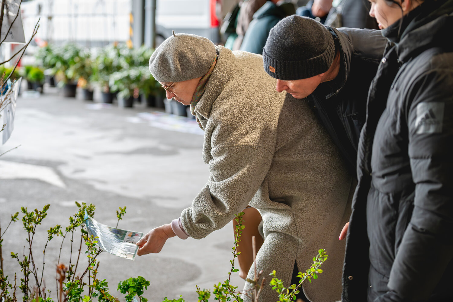 N. Varinausko nuotr.