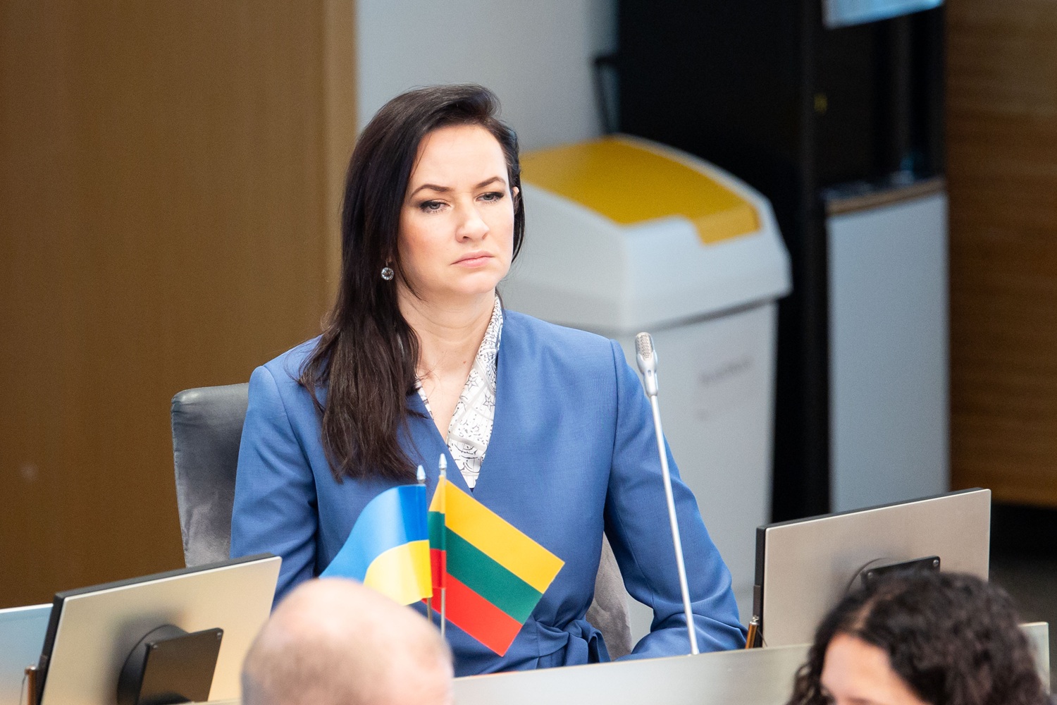 Ruginienė: Europos interesas yra kuo greičiau atlaisvinti Hormuzo sąsiaurį
