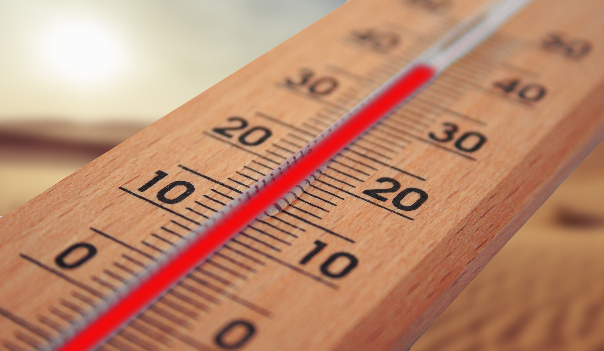 JT klimato vadovas: karščio banga Vakarų Europoje yra brutalus priminimas apie klimato kaitą