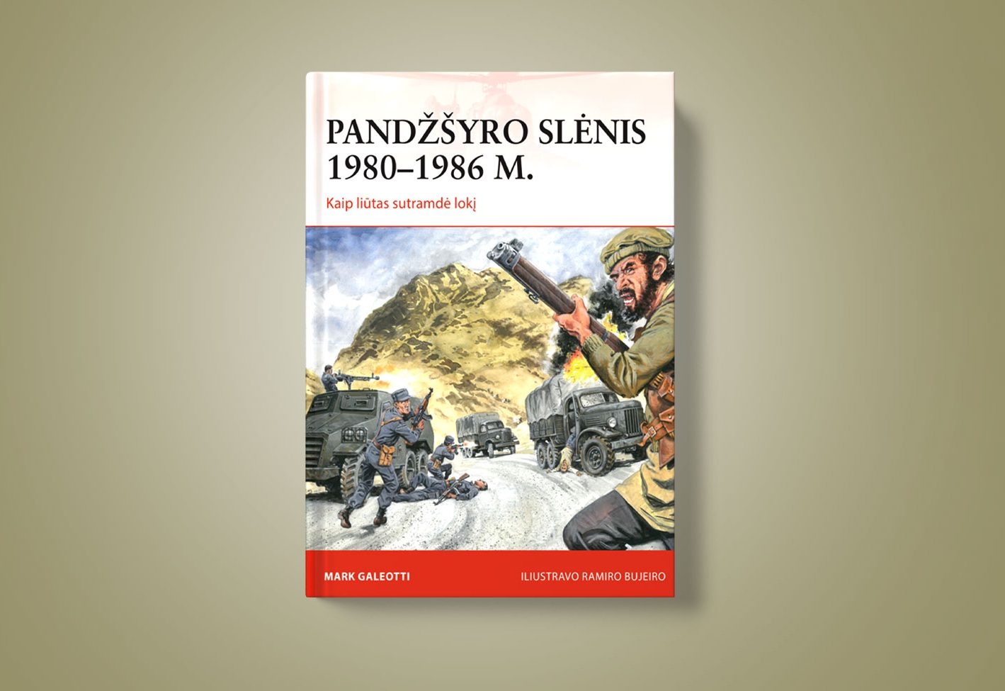 Pandžšyro slėnis: kaip liūtas sutramdė lokį