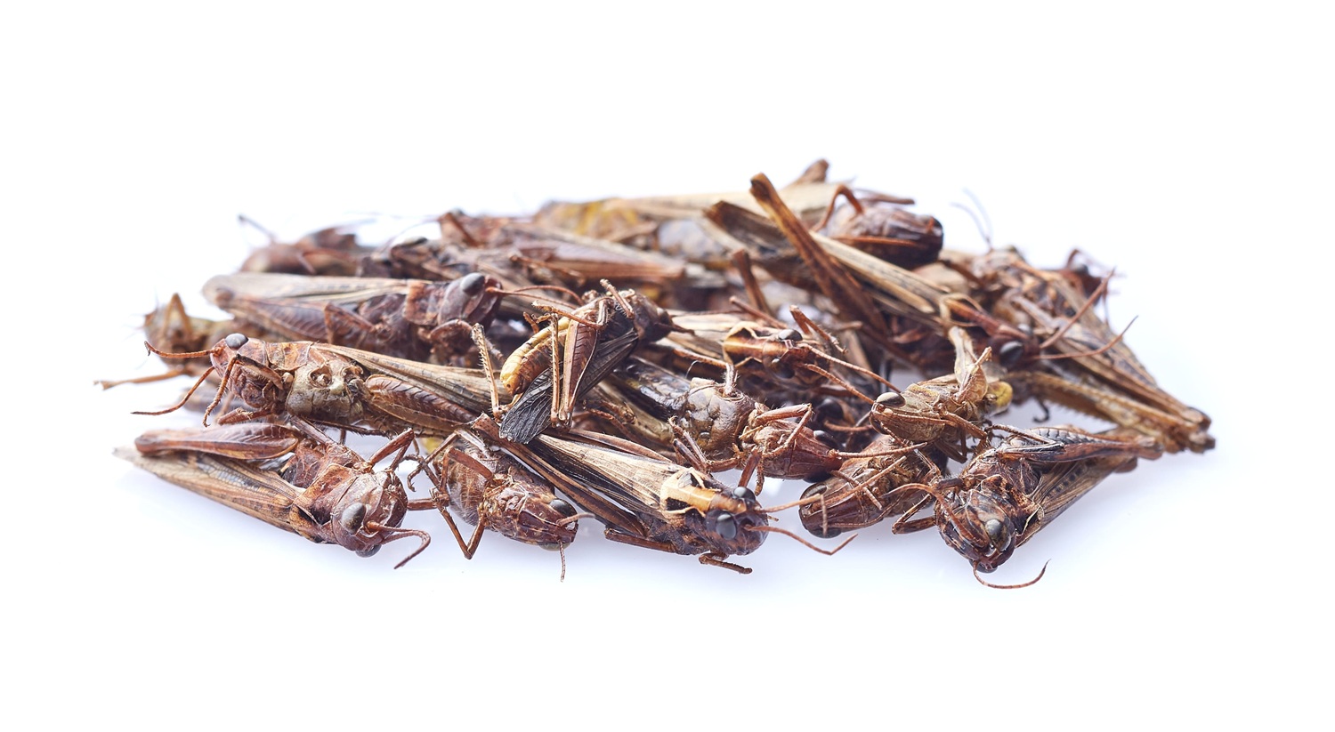Kas slypi mūsų maiste? Nuo nematomų priedų iki netikėtų ingredientų