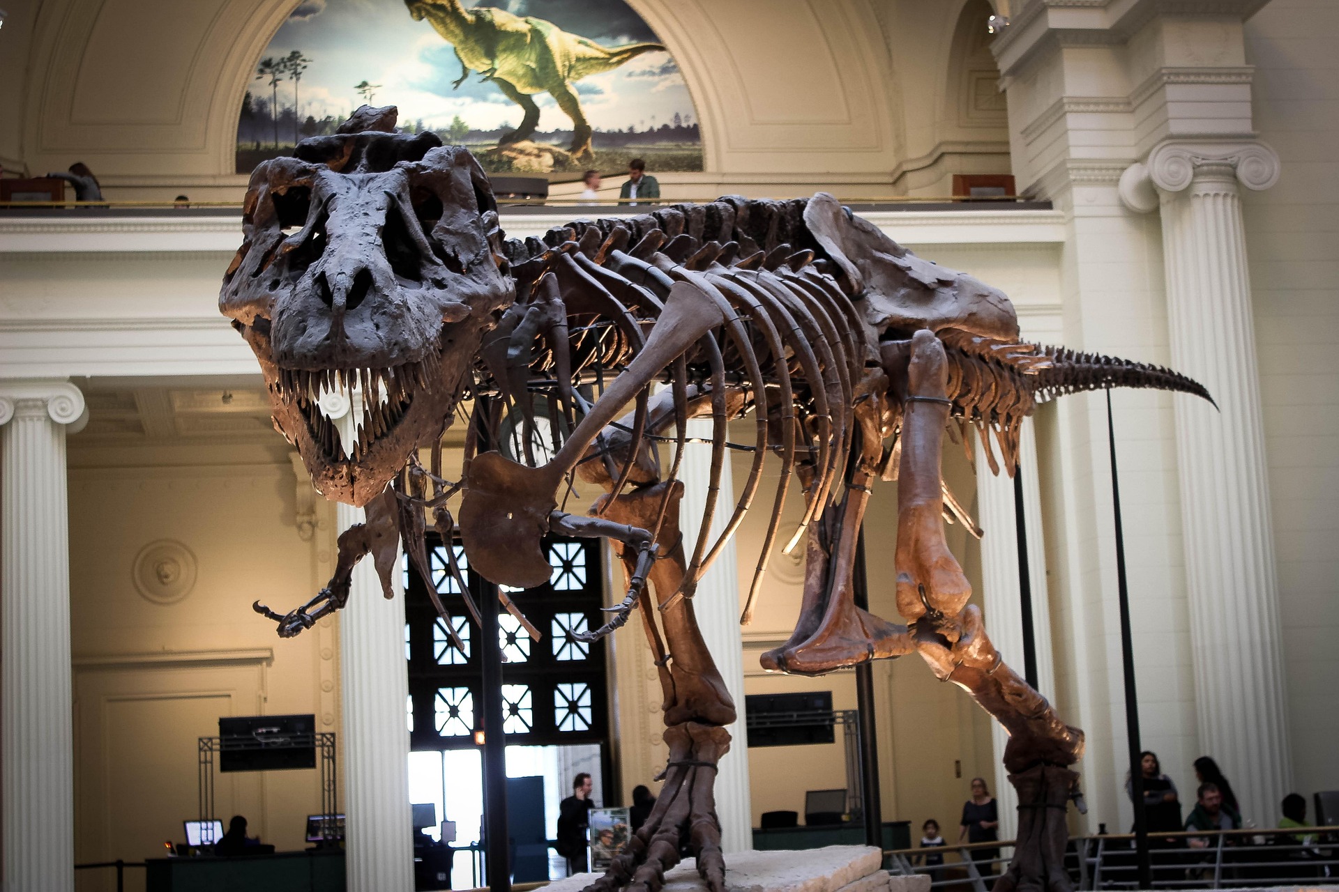 Pirmasis Antarktidoje rastas dinozauro kaulas 40 metų dulkėjo pamirštas stalčiuje