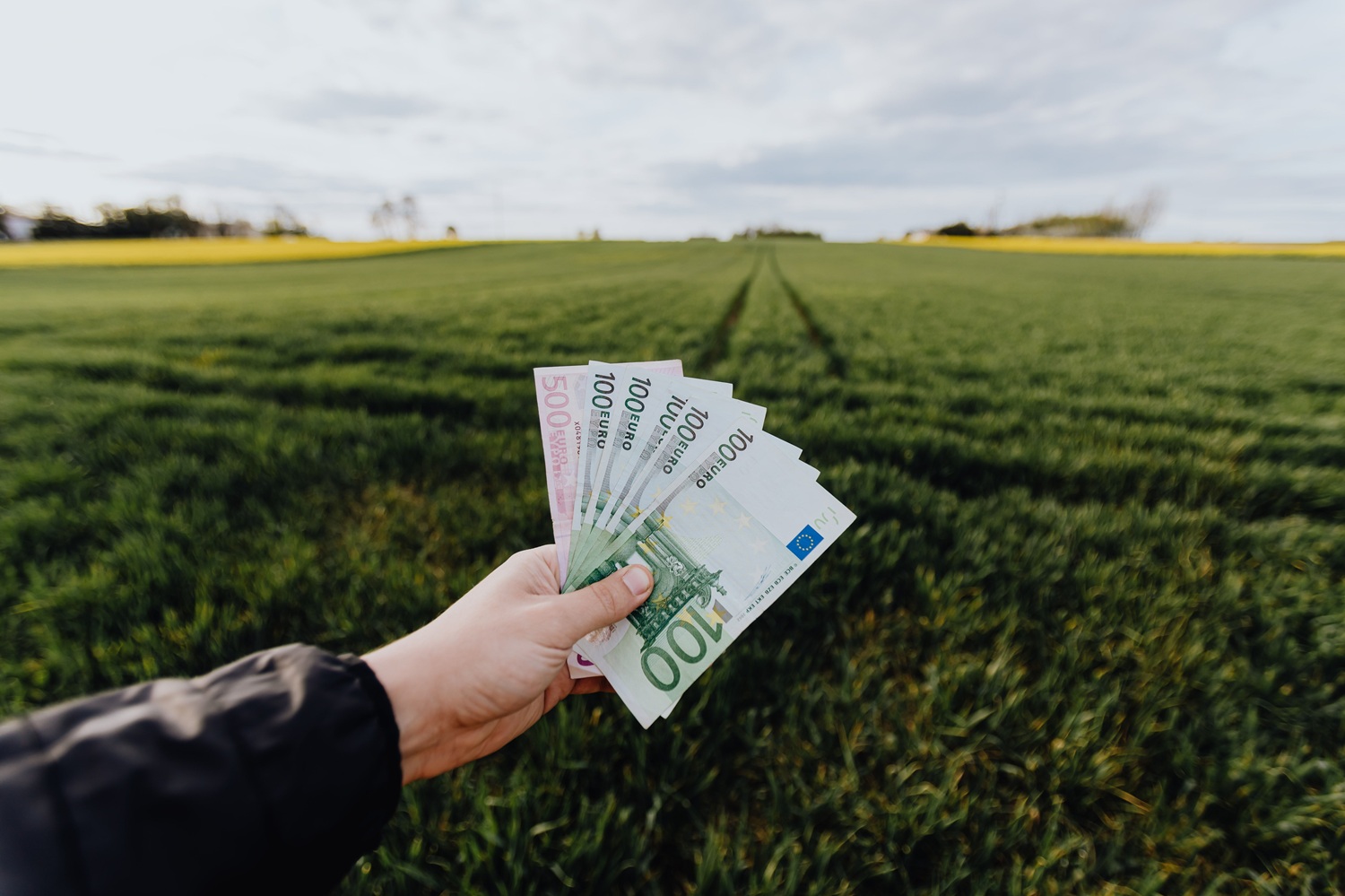 Pensijai pataria ruoštis nuo pirmo atlyginimo: ekspertė įvardijo svarbiausią taisyklę