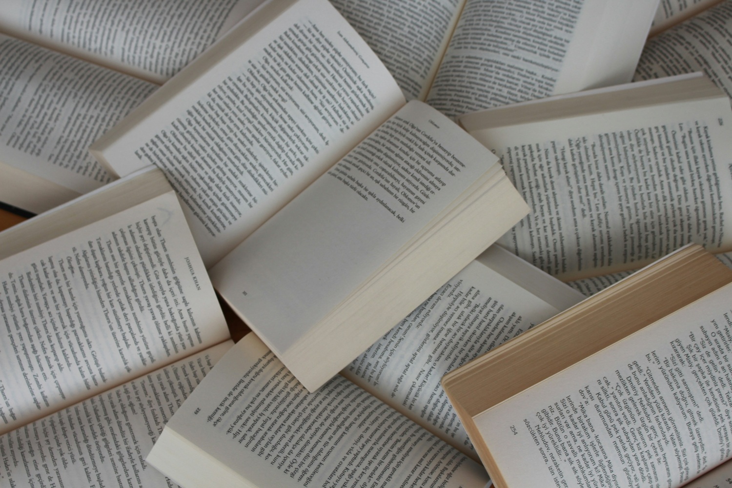 Prancūzijos literatūros premiją laimėjo šokiruojanti knyga apie Putino privatų gyvenimą