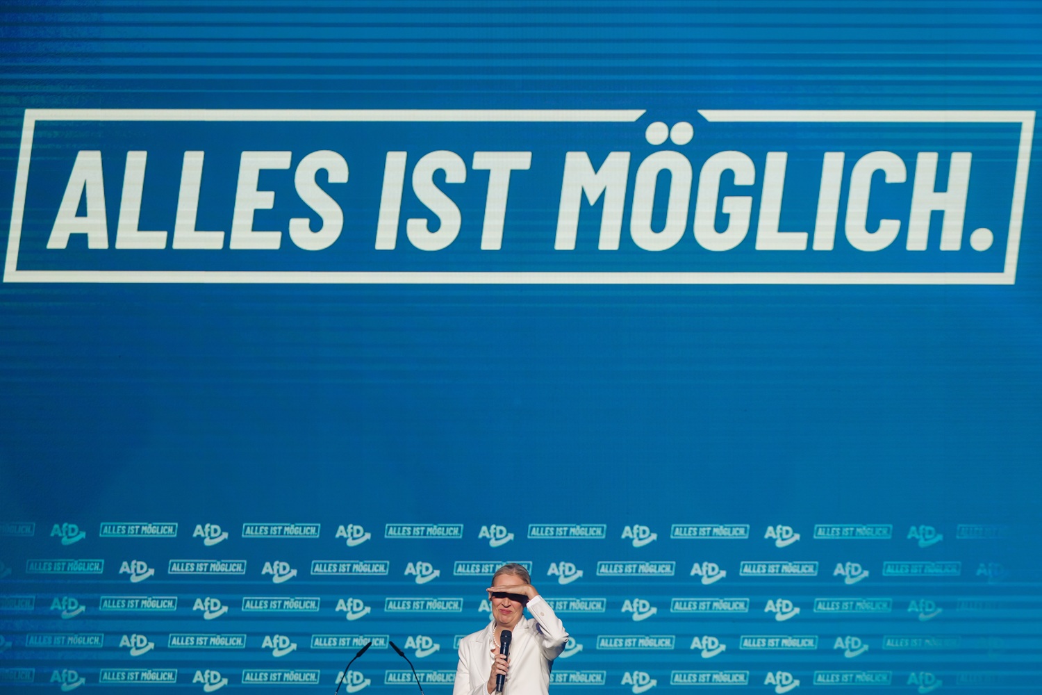 Po rinkimų Vokietijoje – lenkų nusivylimas: „Tik idiotai arba išdavikai gali džiaugtis AfD triumfu“