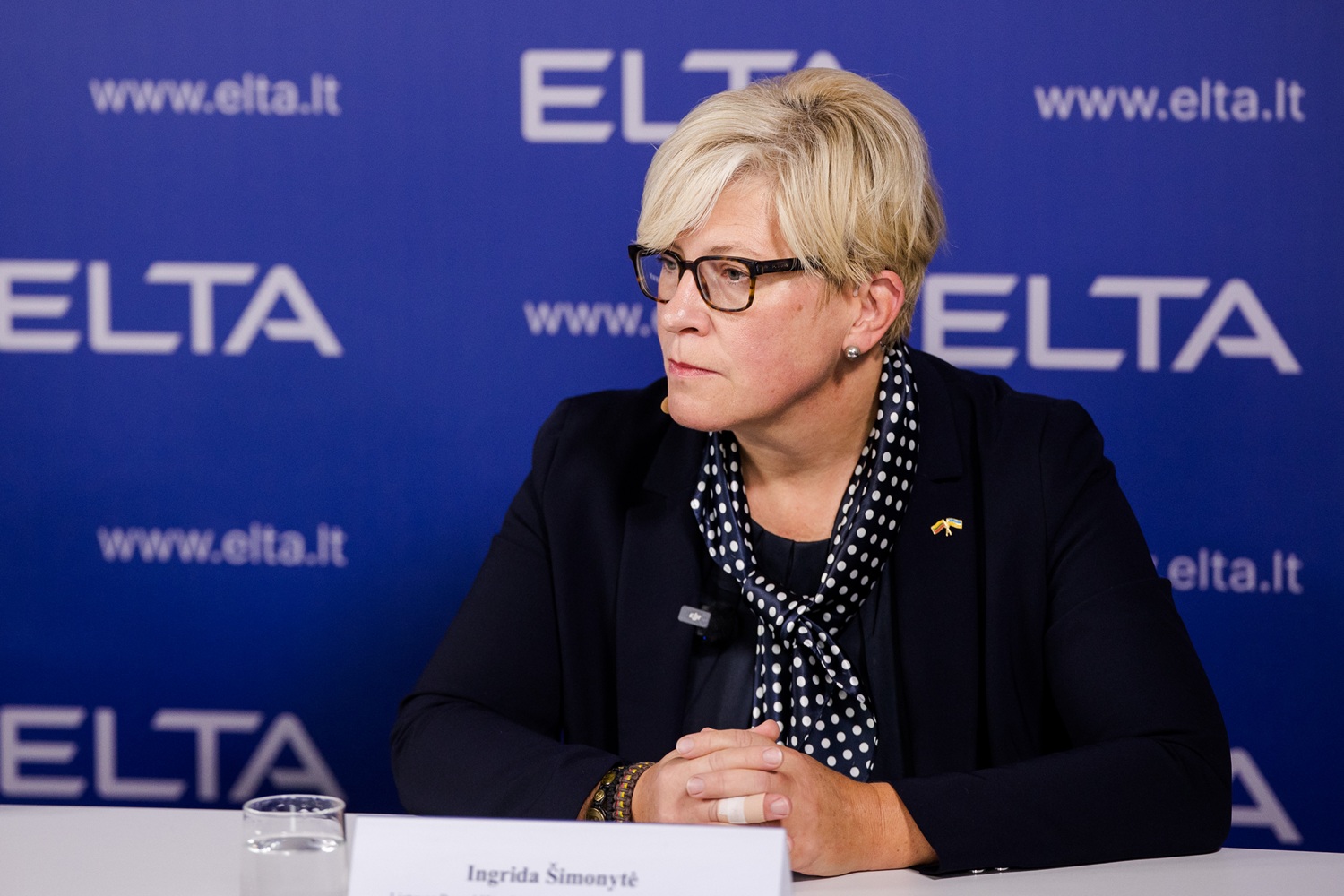 Šimonytė kritikuoja kitų metų biudžeto projektą: valdantieji elgiasi taip, tarsi rytojaus nebūtų