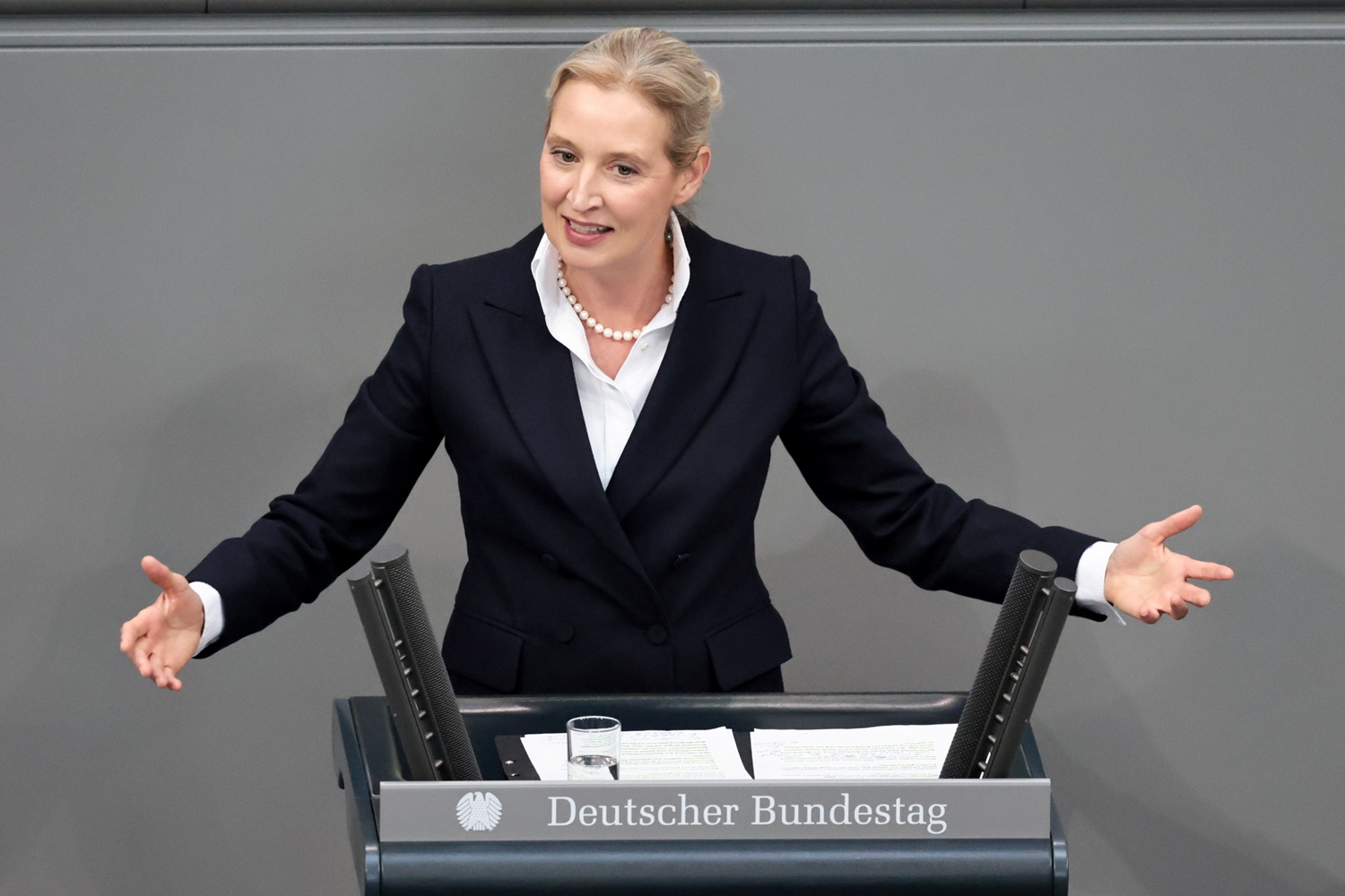 AfD siūlo radikaliai pertvarkyti Europos Sąjungą